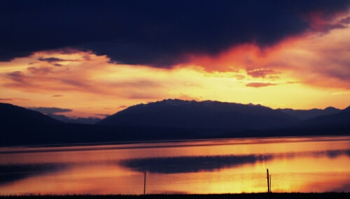 IMG_20140616_110947.jpg image