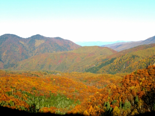 IMG_20141025_203643.jpg image