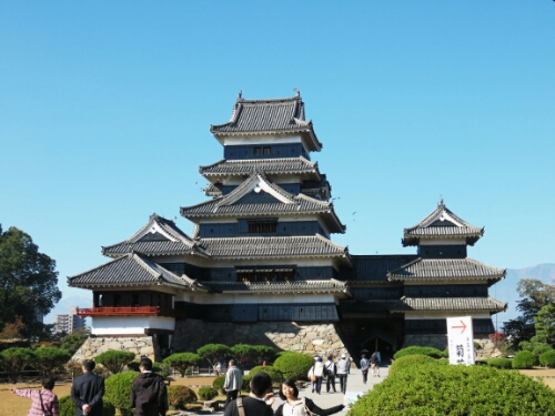 IMG_20141026_174634.jpg image