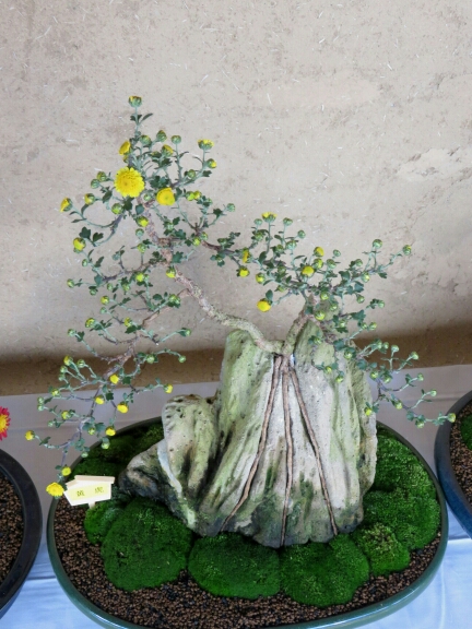 wp-1414147106627 image