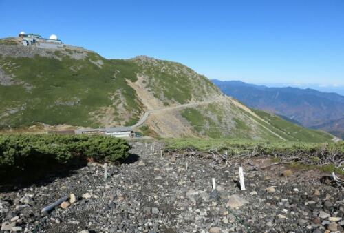 wp-1414235460068 image