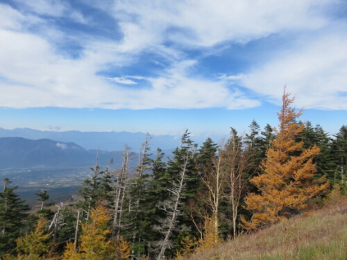 wp-1414456525171 image