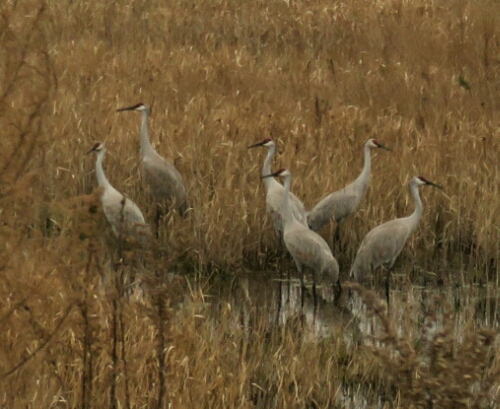 IMG_0252~2.jpg image