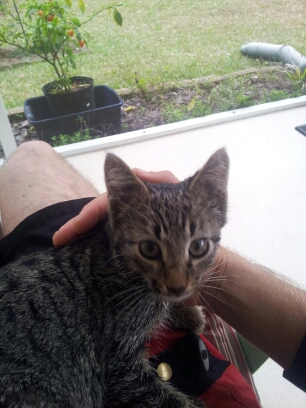 wp-1421674803759 image