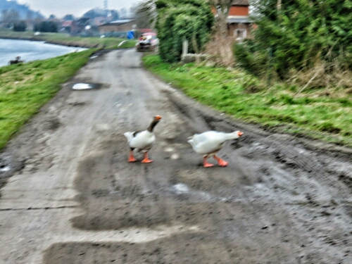 wp-1424901126320 image